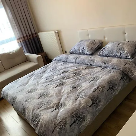 Vanessa Room *