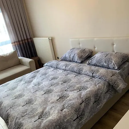 Vanessa Room *