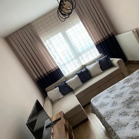 Vanessa Room