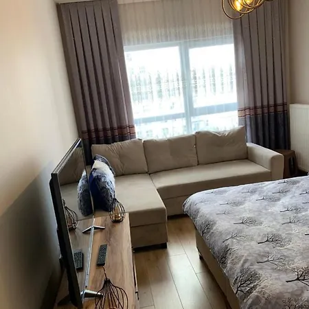 Apartment Vanessa Room