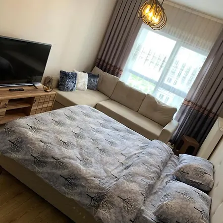 Vanessa Room