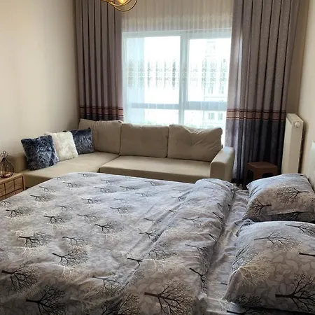 Vanessa Room *